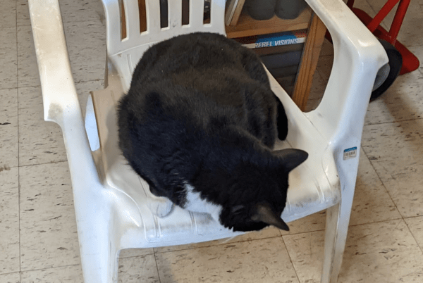 A tuxedo cat floped down on a white, plastic chair.